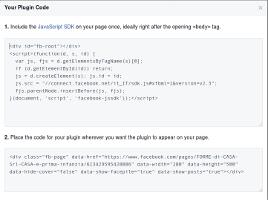 Il codice generato da Facebook